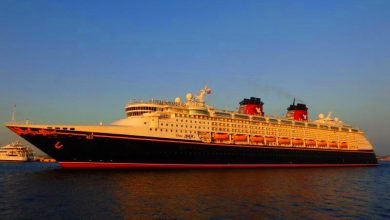 Disney Cruise Line 2020, Αρχιπέλαγος, Ναυτιλιακή πύλη ενημέρωσης
