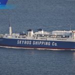Το νέο ΔΣ της Skyros Shipping