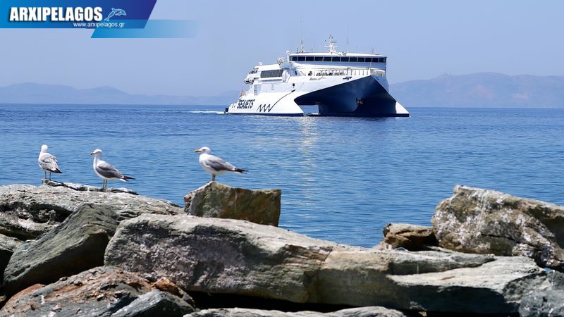 Έναρξη φετινών δρομολογίων για το Naxos Jet 2, Αρχιπέλαγος, Η 1η ναυτιλιακή πύλη ενημέρωσης στην Ελλάδα