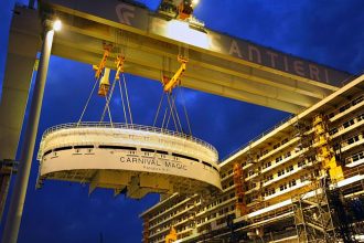 Carnival magic plant high