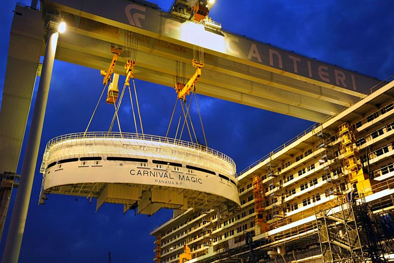 Carnival magic plant high